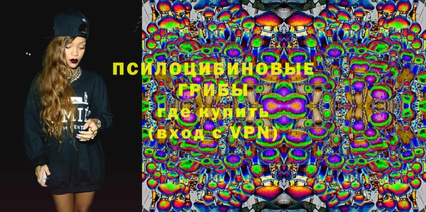 соль ск Ладушкин