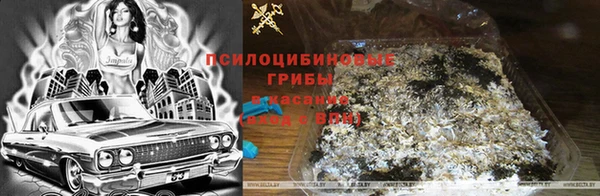 индика Алексеевка