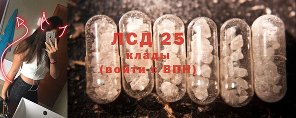 индика Алексеевка