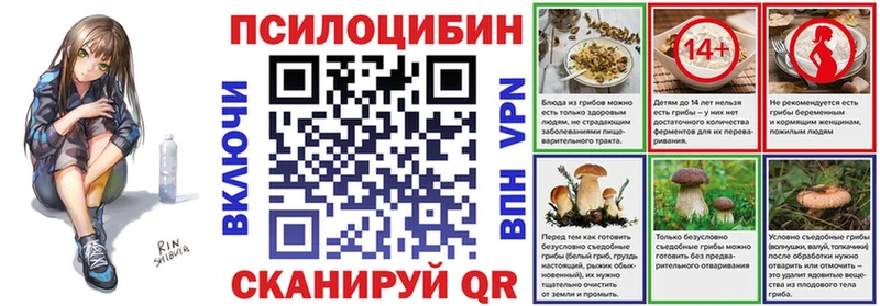 Псилоцибиновые грибы GOLDEN TEACHER  Агрыз 